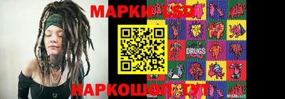 индика Ставрополь