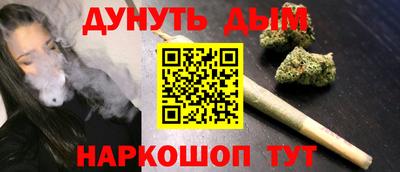 индика Ставрополь