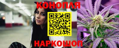 индика Ставрополь