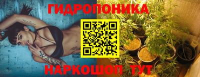 индика Ставрополь