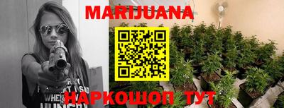индика Ставрополь