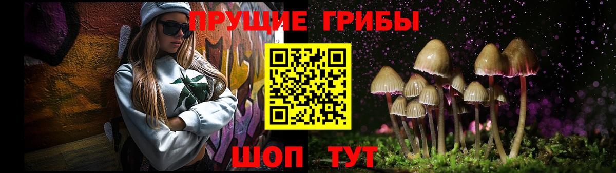 Батайск  Псилоцибиновые грибы Psilocybe  Вход с VPN 
